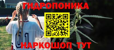 прущая мука Пугачёв