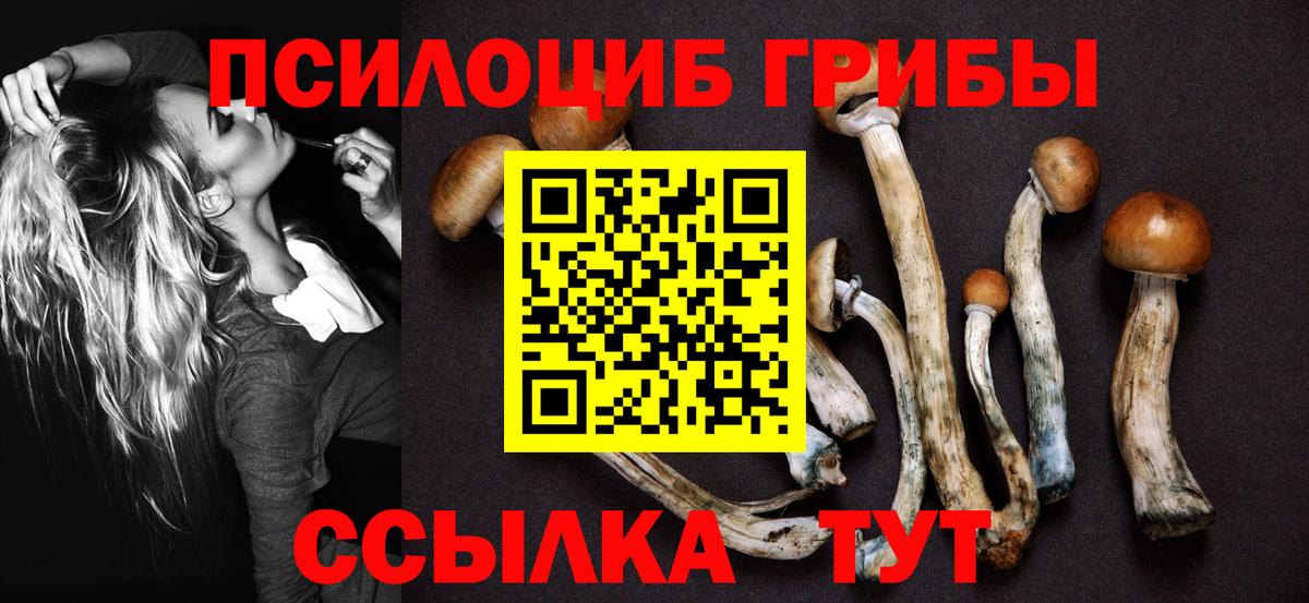 Алушта  Галлюциногенные грибы ЛСД  Псилоцибиновые грибы мухоморы  Вход с VPN 